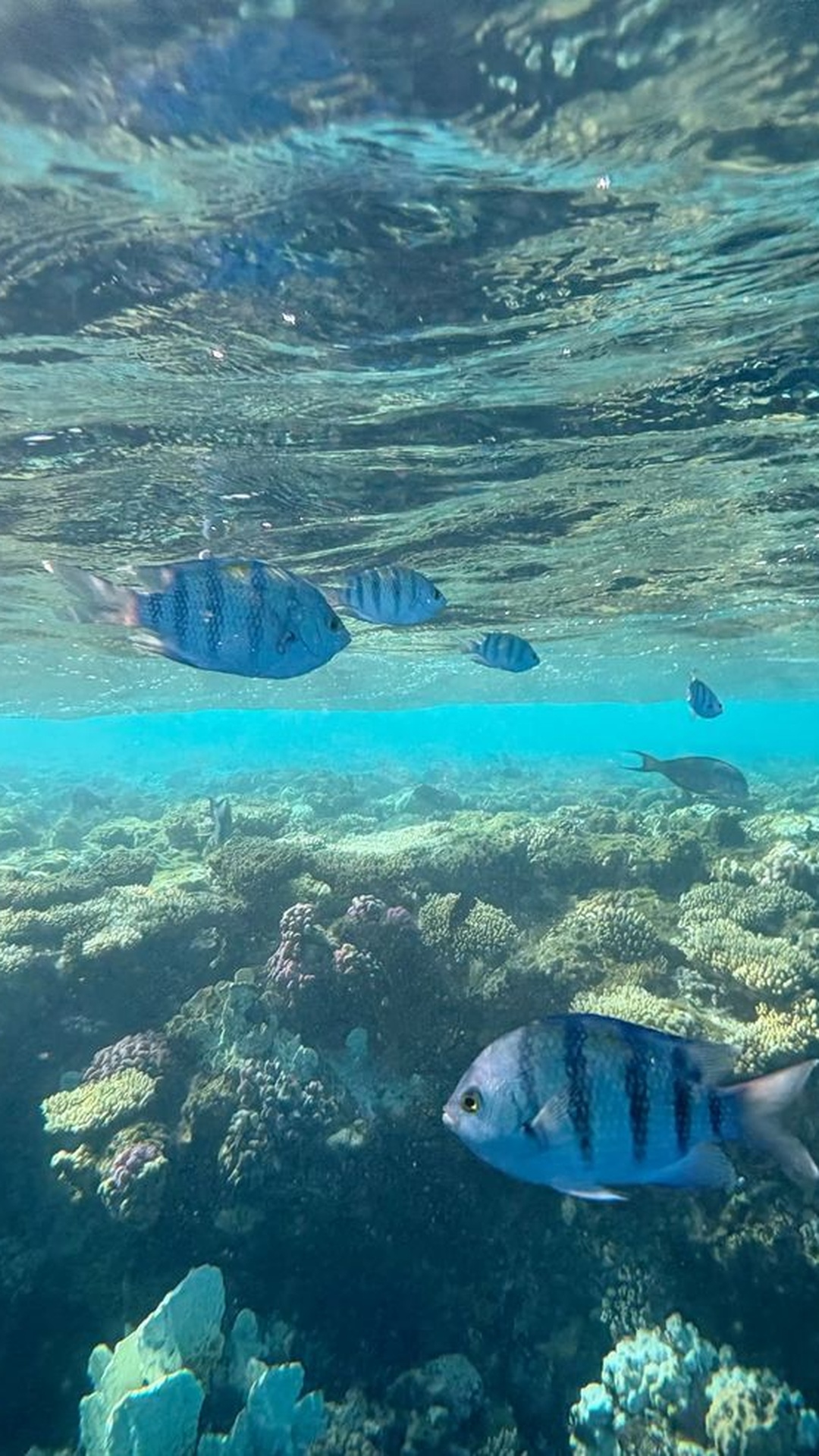 Aqua Trip Hurghada