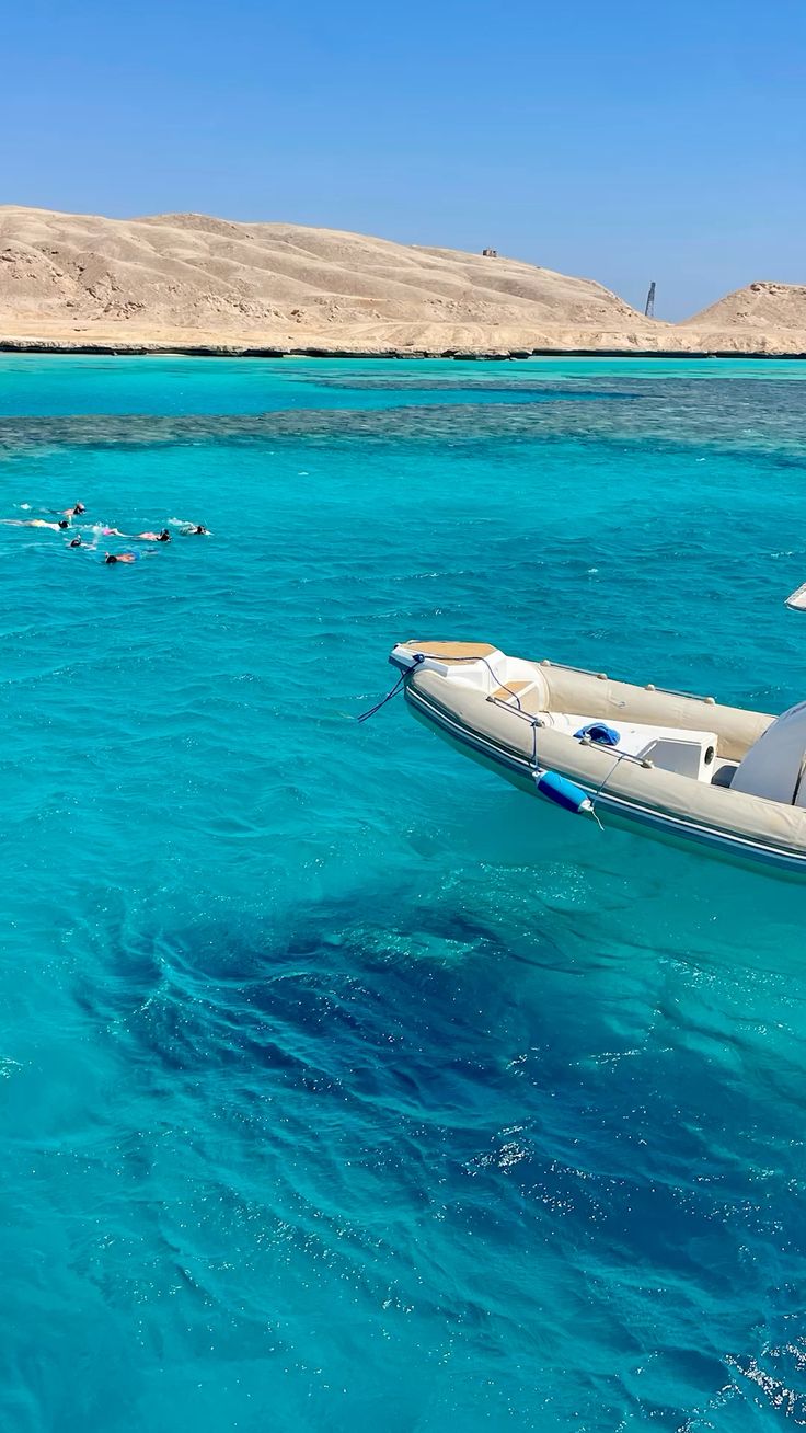 Guests snorkeling next to the speedboat over the reef